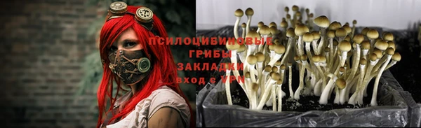 таблы Алексеевка