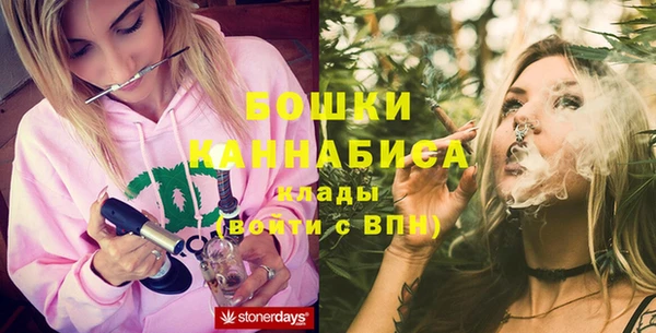 гашик Губаха