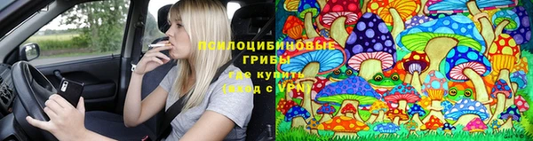 метамфетамин Алексин