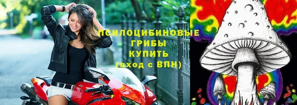 гашик Алзамай