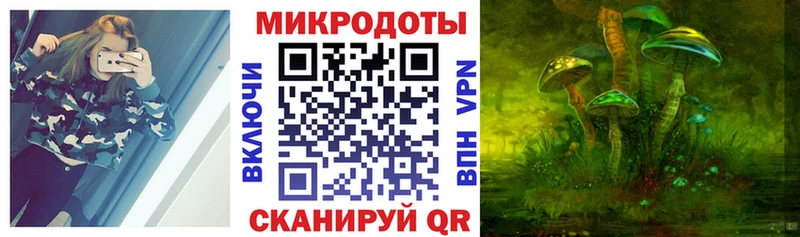 Галлюциногенные грибы мухоморы наркотики Венёв